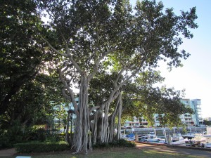 Mission Beach - Tounsville-030